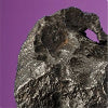 $5.5k for a Campo del Cielo meteorite