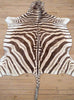 1980 British Lions rugby tour autographed zebra hide