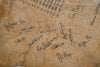 1980 British Lions rugby tour autographed zebra hide